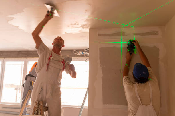 Professional Dry wall and painting in Slaughter, LA